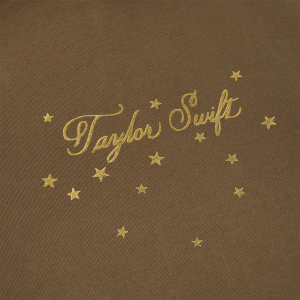 Fearless (Taylor’s Version) Dance In a Storm Hoodie