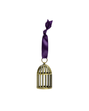Speak Now (Taylor’s Version) Bird Cage Ornament